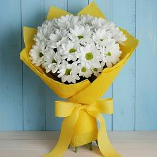 Букет цветов из:  Хризантемы в Жирнове