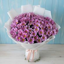 Букет цветов из:  Хризантемы #REPLACE_PRED# Жирнове