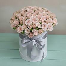 Цветочная композиция из Розы в шляпной коробке #REPLACE_PRED# Жирнове