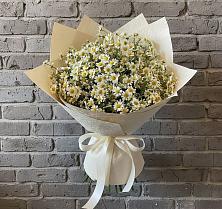 Букет цветов из:  Ромашки #REPLACE_PRED# Жирнове
