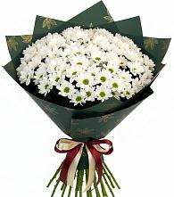 Букет цветов из:  Хризантемы в Жирнове