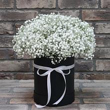 Цветочная композиция из Гипсофила в шляпной коробке в Жирнове