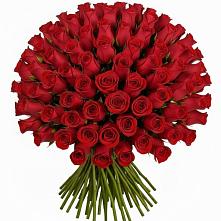 Букет Красные розы Чери Лав в Жирнове