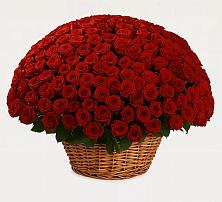 Премиум букет из: Розы в Жирнове